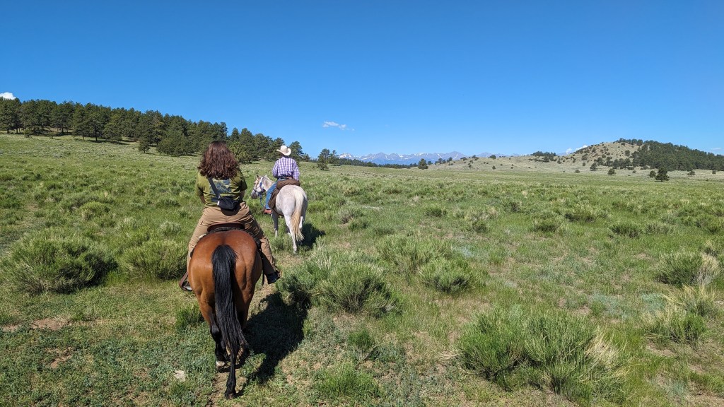 Bear Basin Ranch, Colorado – July 2023, 2-Hour Trail Ride Through the Wet&nbsp;Mountains